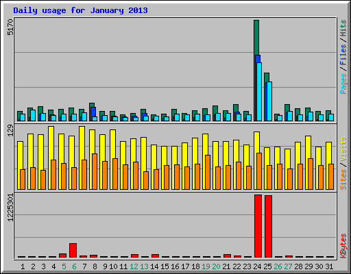 Daily usage for January 2013