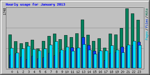 Hourly usage for January 2013