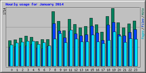 Hourly usage for January 2014