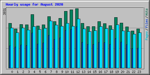 Hourly usage for August 2020