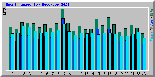 Hourly usage for December 2020