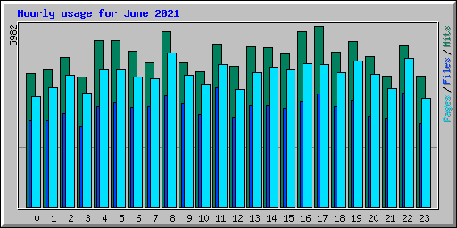 Hourly usage for June 2021