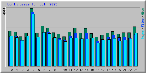 Hourly usage for July 2025