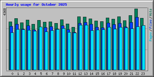Hourly usage for October 2025
