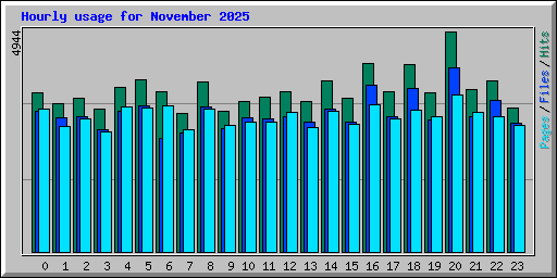 Hourly usage for November 2025