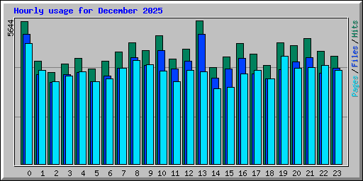 Hourly usage for December 2025