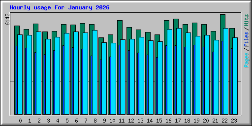 Hourly usage for January 2026