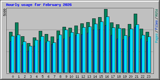 Hourly usage for February 2026