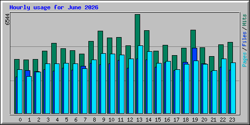 Hourly usage for June 2026