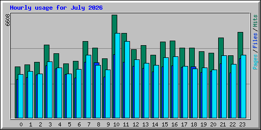 Hourly usage for July 2026